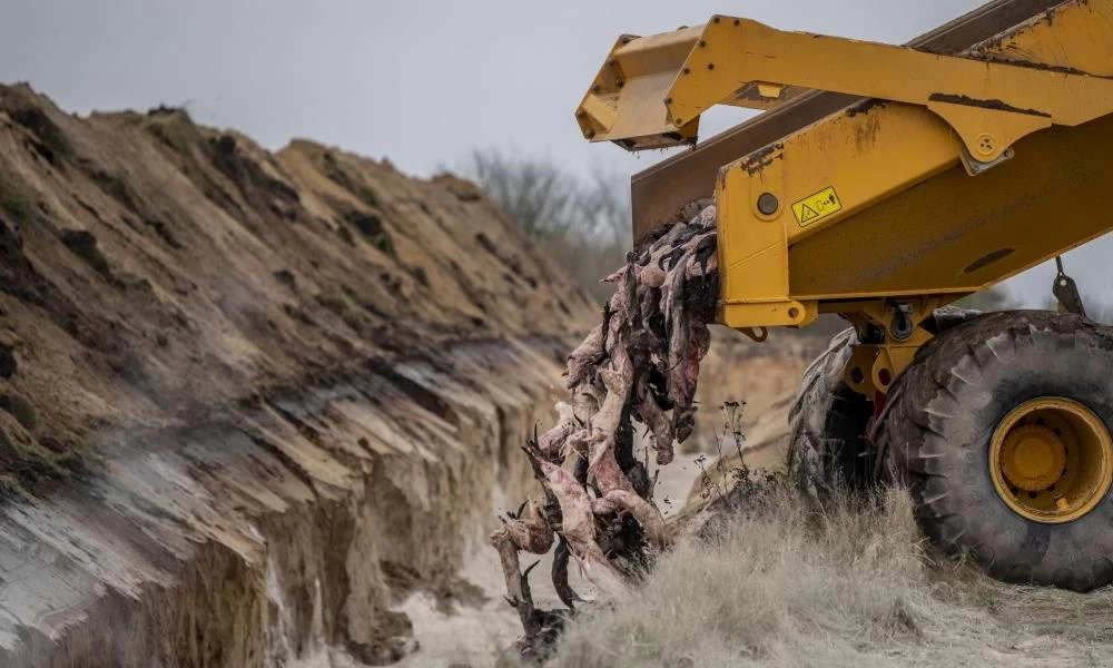 Η πρωθυπουργός της Δανίας ζήτησε συγγνώμη με δάκρυα στα μάτια για τα βιζόν